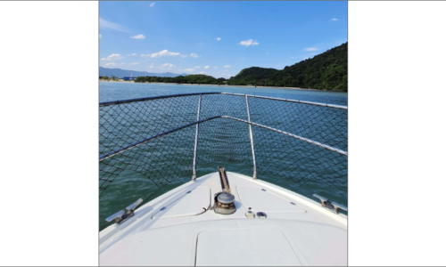 Aluguel de Lancha - Guarujá - Intermarine 440 - 21