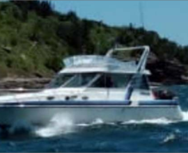 Aluguel de Lancha em Búzios- Dawal 41- 4