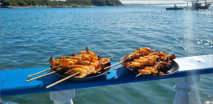 Aluguel de Traineira em Búzios- 4