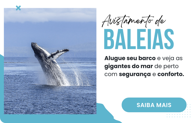 Avistamento de Baleias Avistamento de Baleias